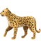 Leopard emoji on Apple
